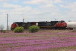 IC 2718 CN 2553